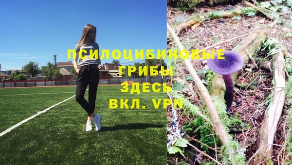 молекула духа Киренск