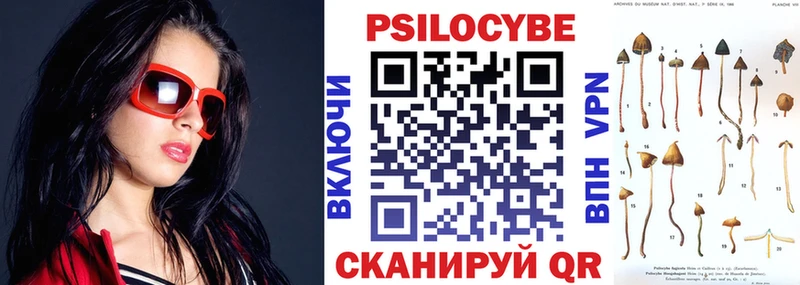 Псилоцибиновые грибы Psilocybine cubensis  Купить  Выкса 